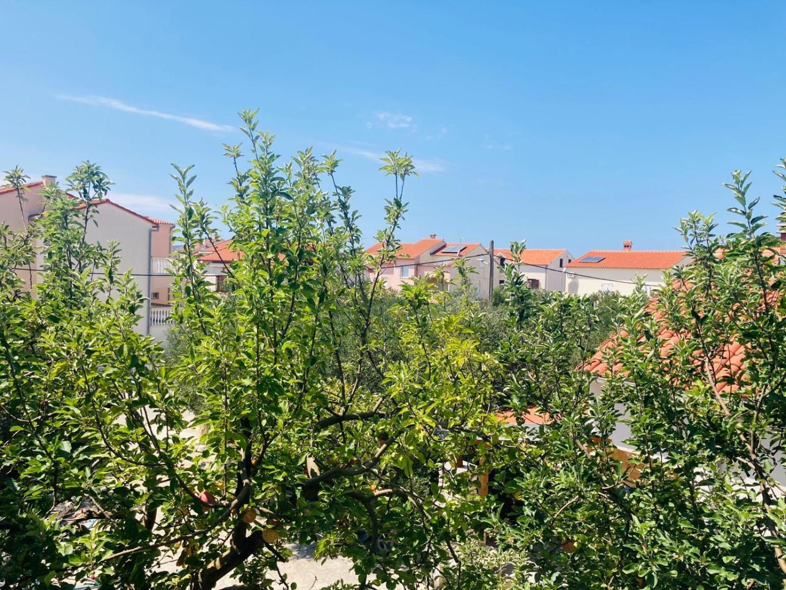 Apartment Mrkic Biograd Na Moru Exteriör bild